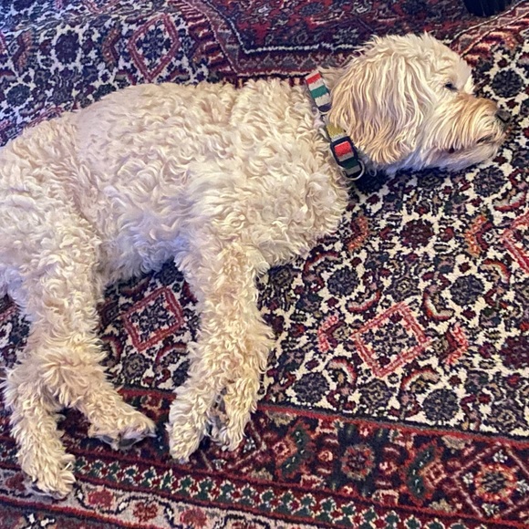 Meet your Posher, Nichole - Picture 1 of 1